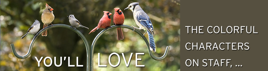 Slide three, Two cardinals, a bluejay and two titmice sitting on a shepherd’s hook with text saying 