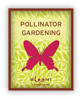 Pollinator Gardening icon links to Pollinator Gardening page