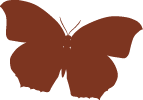 decorative brown silhouette of butterfly