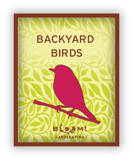 Backyard Birds icon links to Backyard Birds page