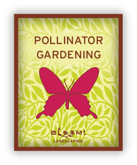 pollinator-gardening-icon