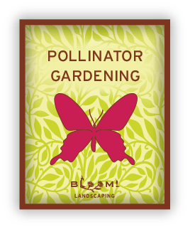 pollinator-gardening-icon