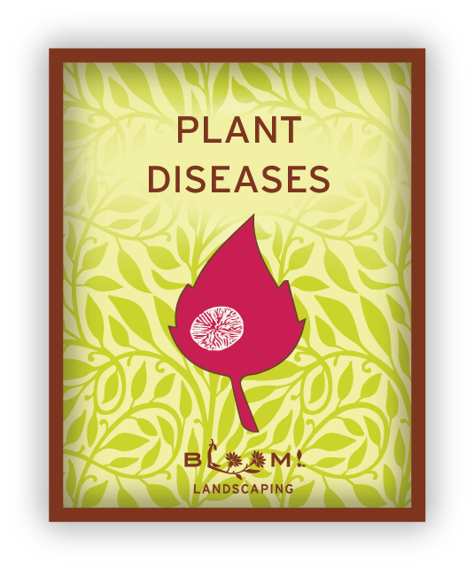 plant diseases icon