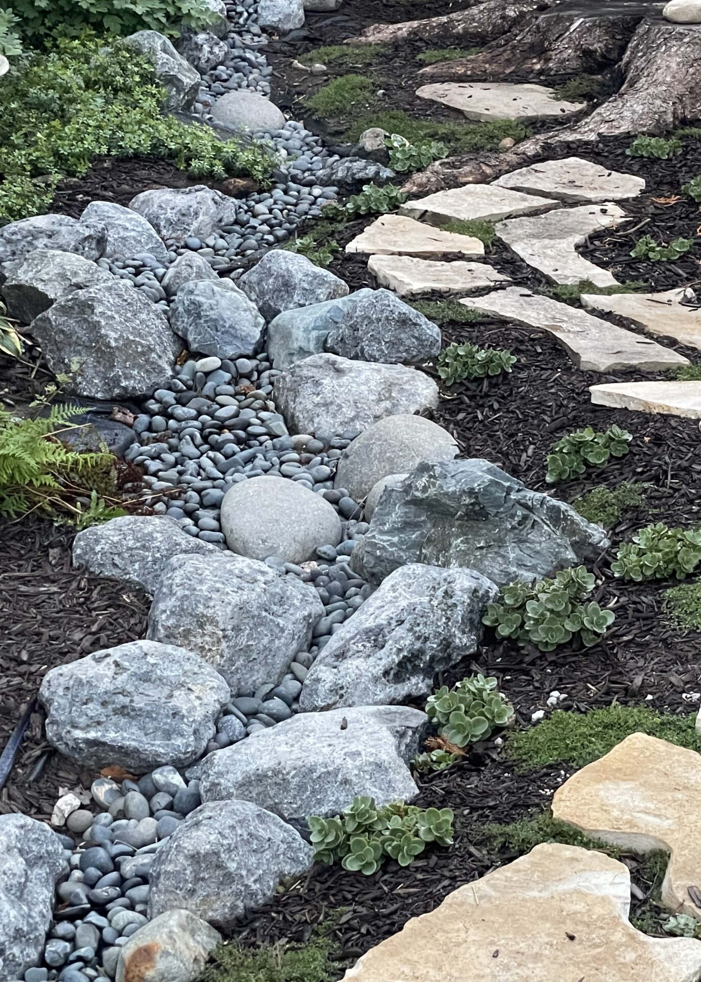 a garden design by Bloom! Landscaping solves a water issue with a dry river bed of gray granite field stone a smooth river pebbles winding along a lannon stone stepper pathway