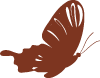 butterfly-decorative-icon