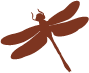 dragonfly-decorative-icon