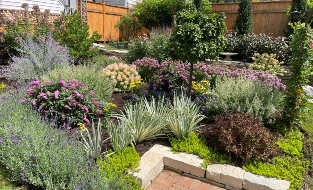About Bloom! Landscaping, we create inspiring outdoor spaces like this breath-taking English and pollinator habitat garden. The edge of a brick patio abuts an explosion of blooming shrubs and perennials in pinks, whites and light purples, including lavender, butterfly bushes, roses and purple-leafed weigela. In the backdrop is a 50’ retaining wall built by Kristyn Greenfield and a beautifully crafted cedar privacy fence. The entire backyard is filled with flowers and textures that look amazing.