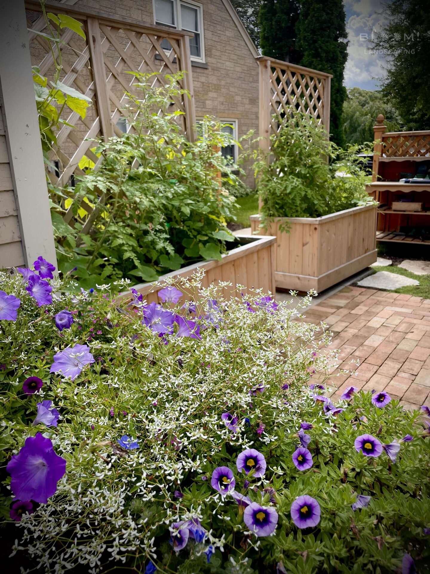 Two large cedar planter boxes with trellises serve as part of a kitchen garden, filled with vegetable plants.