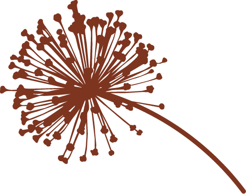 A decorative silhouette of an allium flower head facing left looks like a magic wand