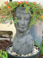 Coral portulaca blooming in gray female head planter storefront display at Be Spectacled, Wauwatosa, WI