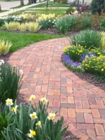 A charming brick walkway curves though beds filled with white and yellow daffodils, variegated iris and grape hyacinth.